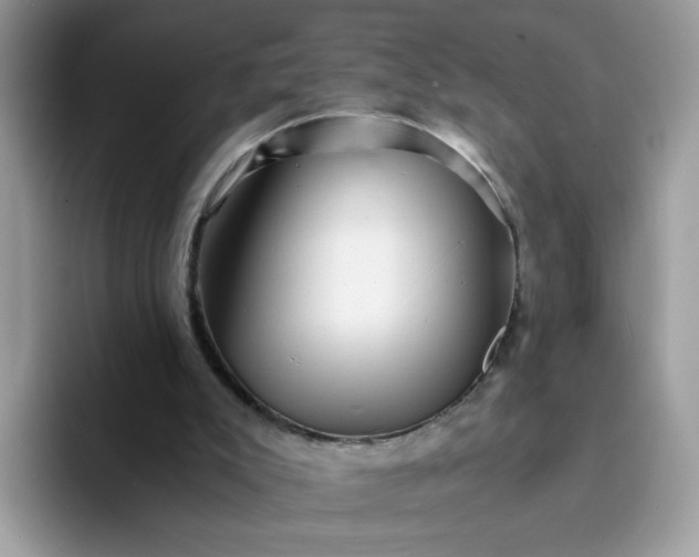 X0000094200007200711091227