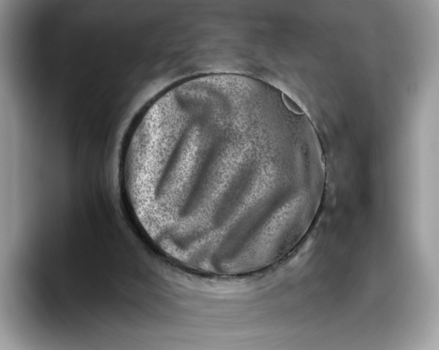 X0000094200008200711091227