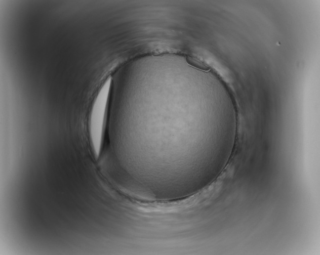 X0000094200009200711091227