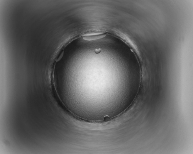 X0000094200010200711091227