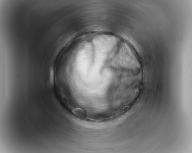 X0000094200014200711091227