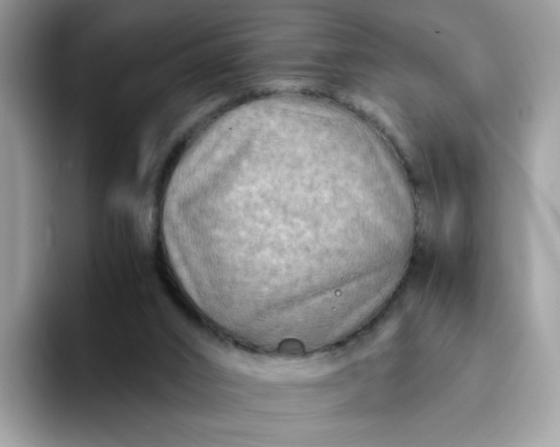 X0000094200016200711091227