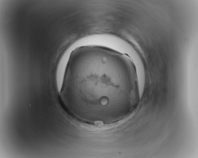 X0000094200019200711091227