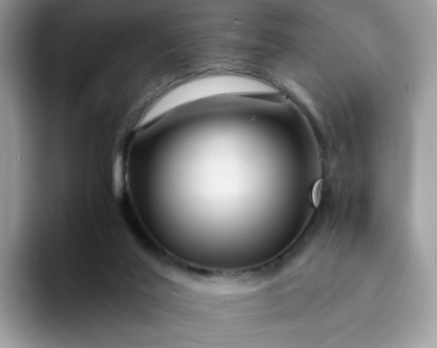 X0000094200020200711091227