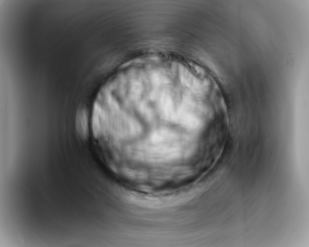 X0000094200022200711091227