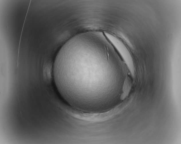 X0000094200023200711091227