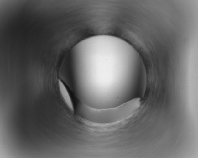 X0000094200025200711091227