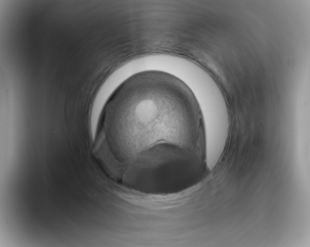 X0000094200027200711091227