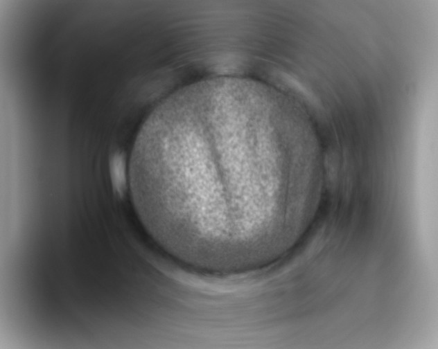 X0000094200028200711091227