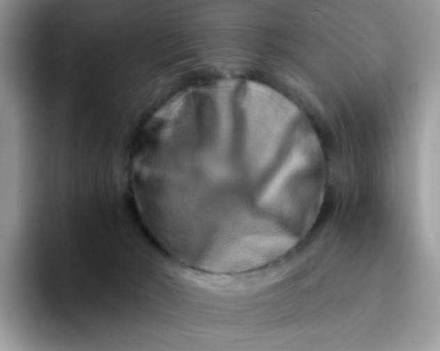 X0000094200030200711091227