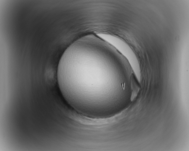 X0000094200031200711091227