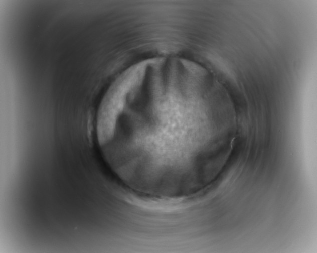 X0000094200032200711091227