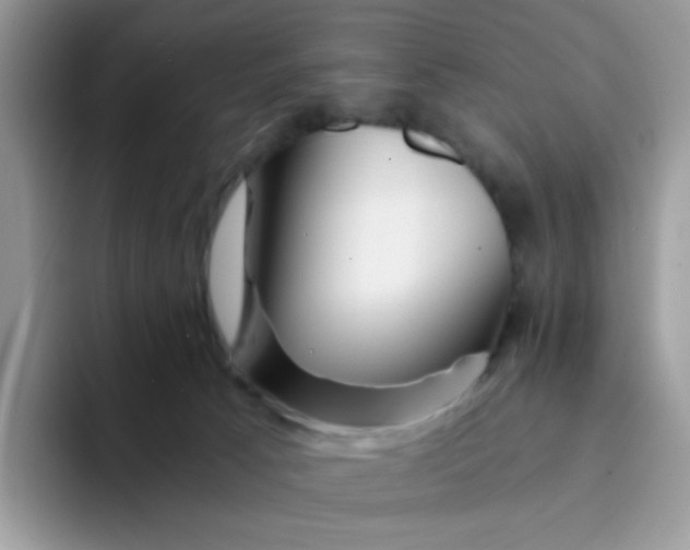 X0000094200033200711091227