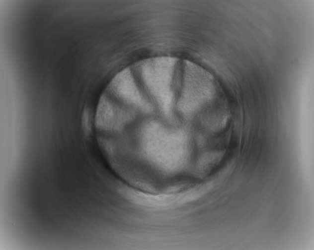 X0000094200038200711091227