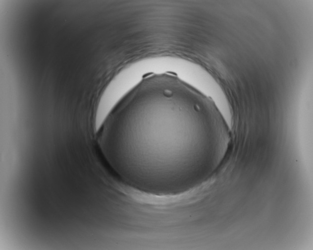 X0000094200039200711091227