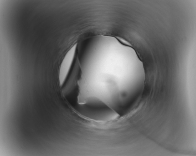 X0000094200041200711091227