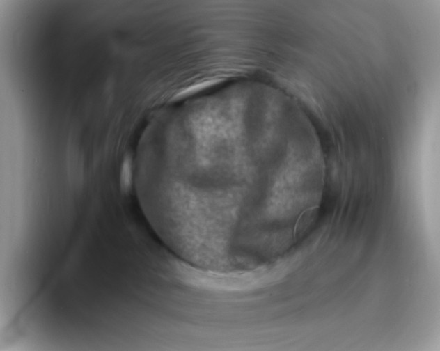 X0000094200042200711091227