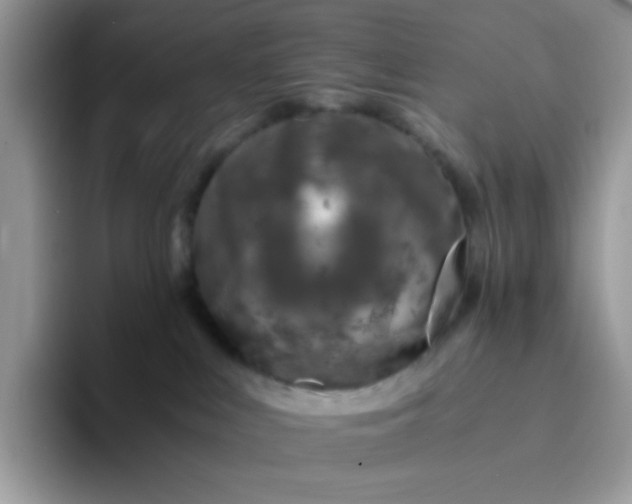 X0000094200043200711091227