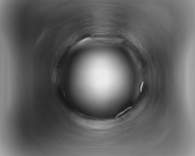 X0000094200044200711091227