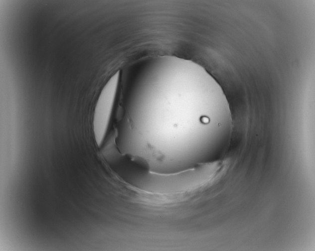 X0000094200045200711091227