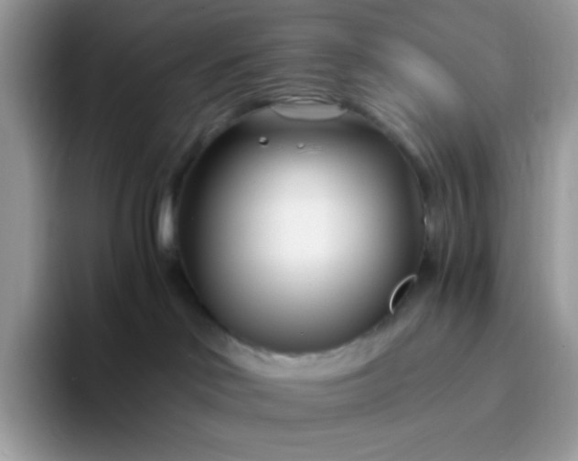 X0000094200046200711091227