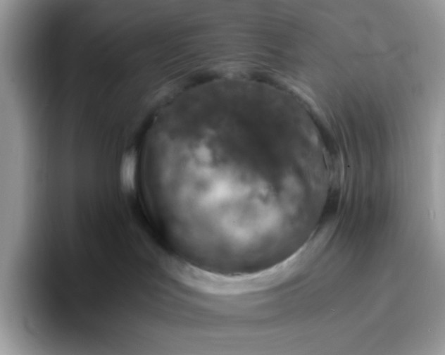 X0000094200047200711091227