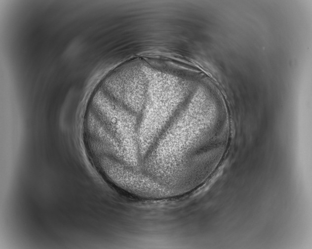 X0000094200049200711091226