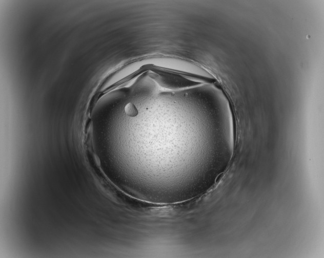 X0000094200050200711091226