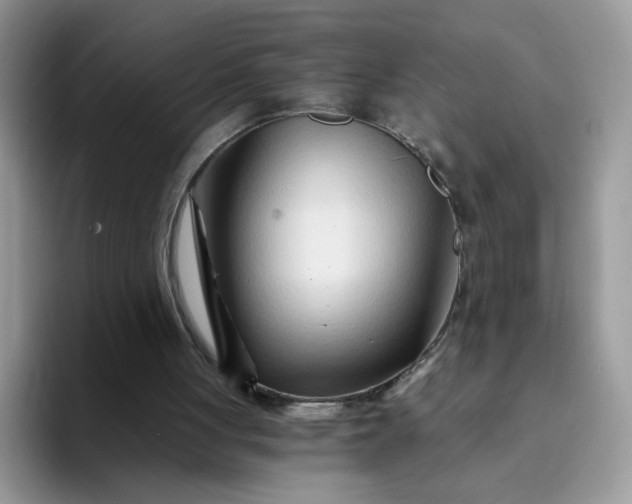 X0000094200051200711091226