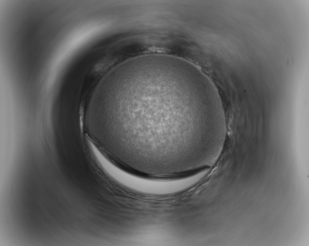 X0000094200052200711091226