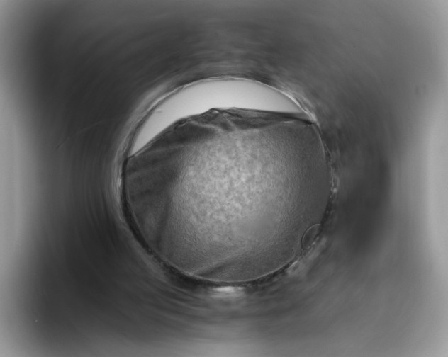 X0000094200053200711091226