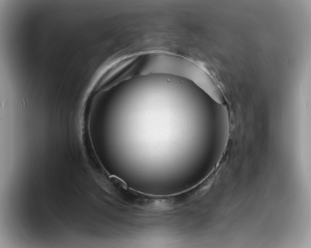 X0000094200056200711091226