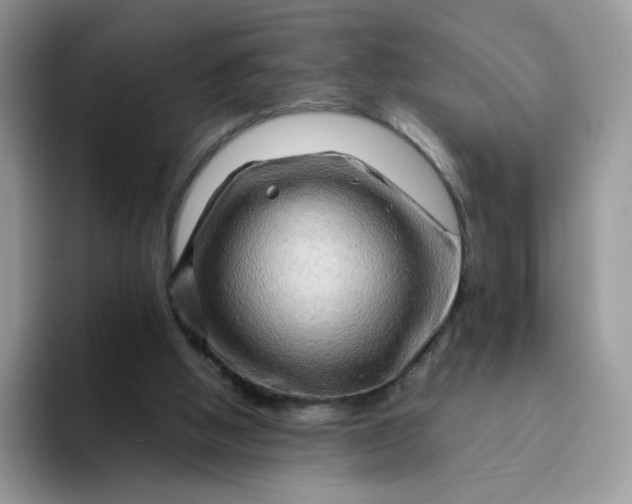 X0000094200058200711091227