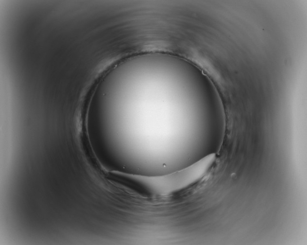 X0000094200060200711091227