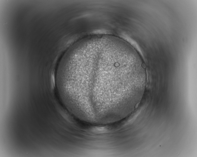 X0000094200061200711091227