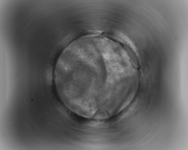 X0000094200065200711091227