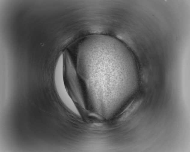 X0000094200066200711091227