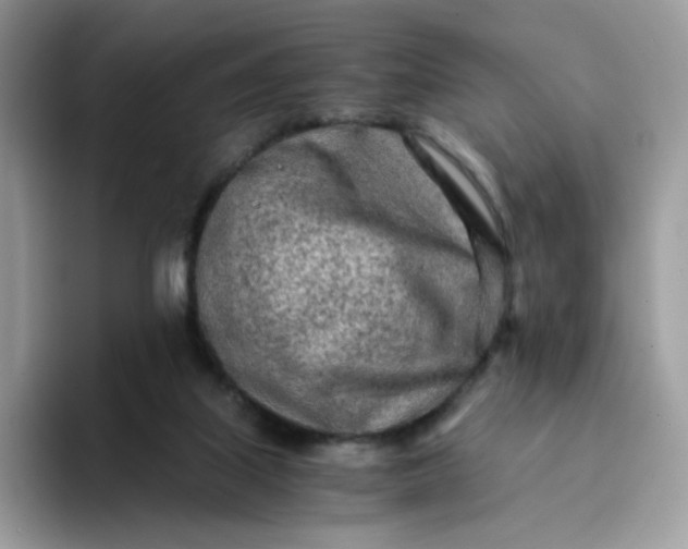 X0000094200067200711091227