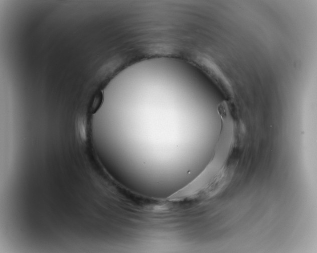 X0000094200068200711091227