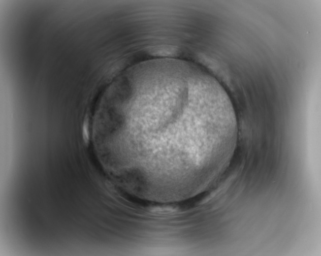 X0000094200069200711091227