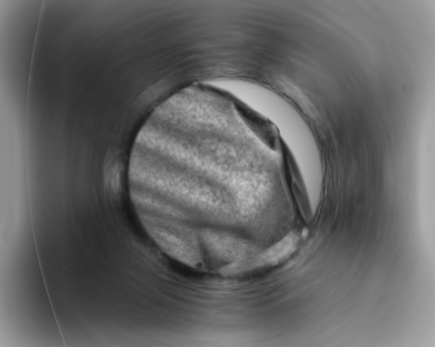 X0000094200071200711091227