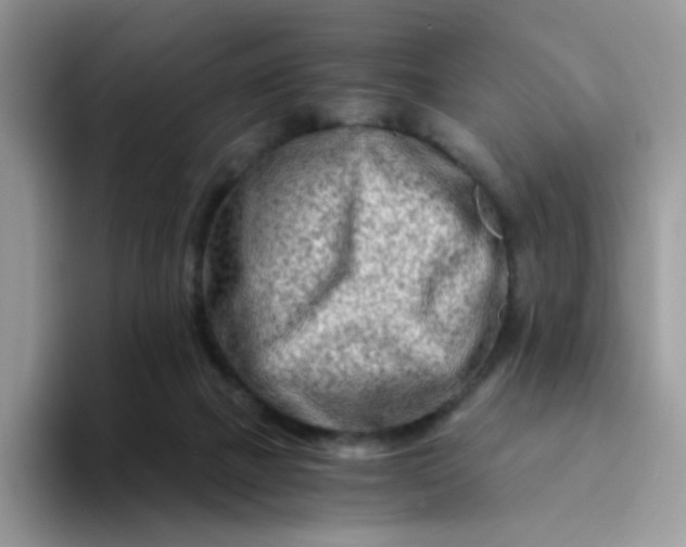 X0000094200073200711091227