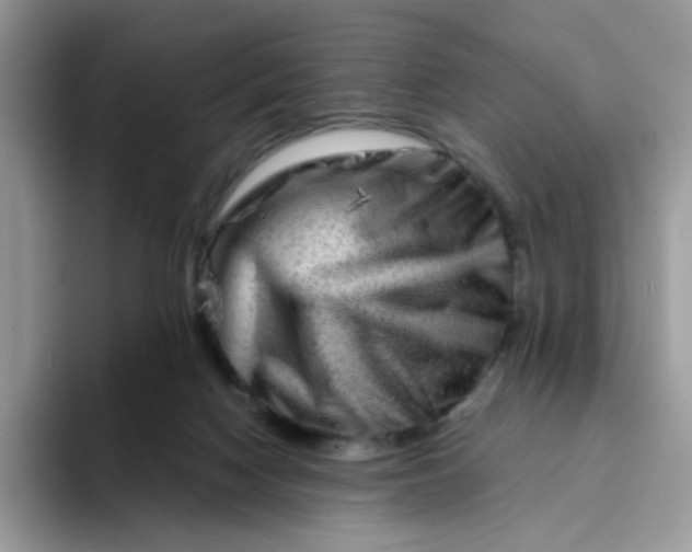 X0000094200074200711091227