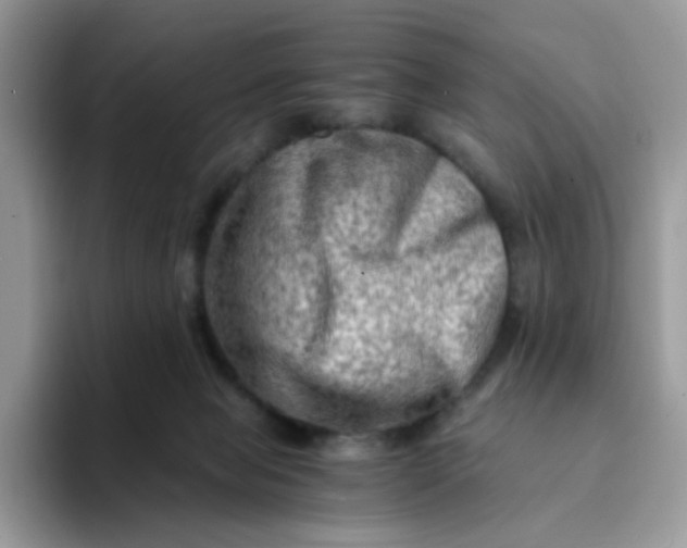 X0000094200077200711091227