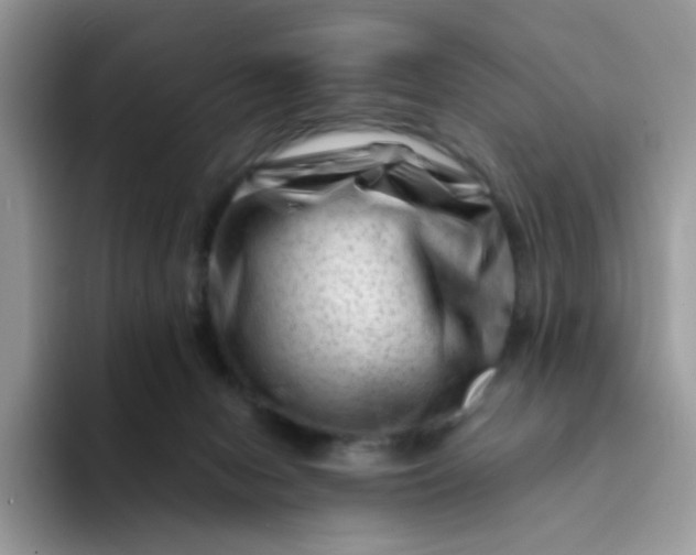 X0000094200078200711091227