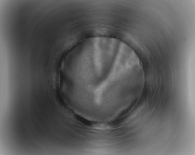 X0000094200079200711091227