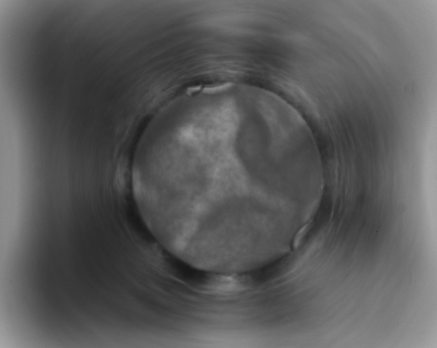 X0000094200083200711091227