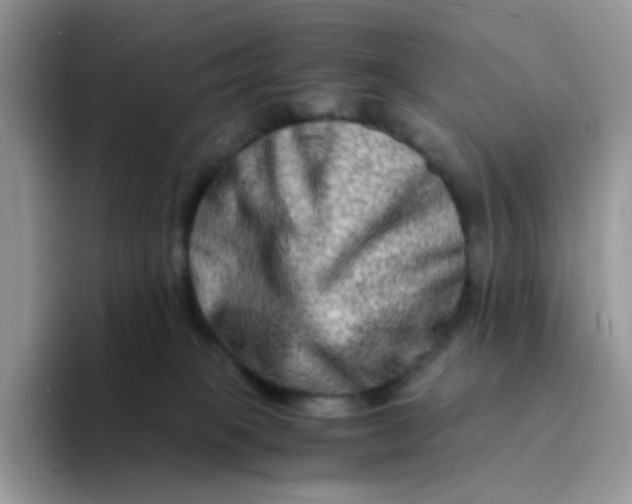 X0000094200085200711091227