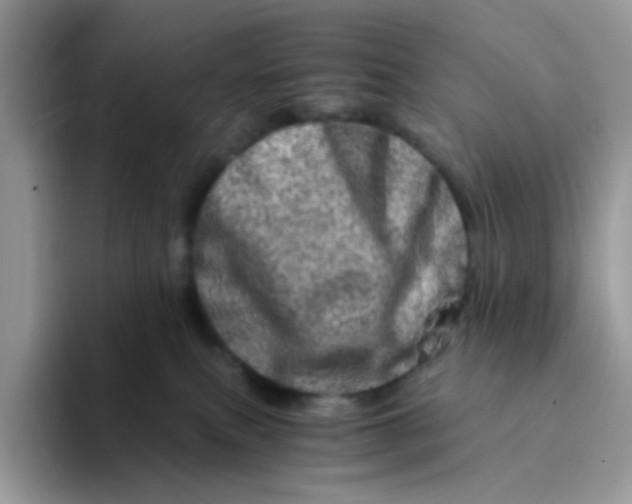 X0000094200087200711091227