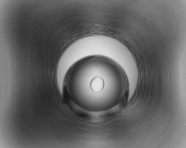 X0000094200088200711091227